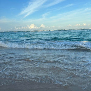 Meet your Posher, Carley